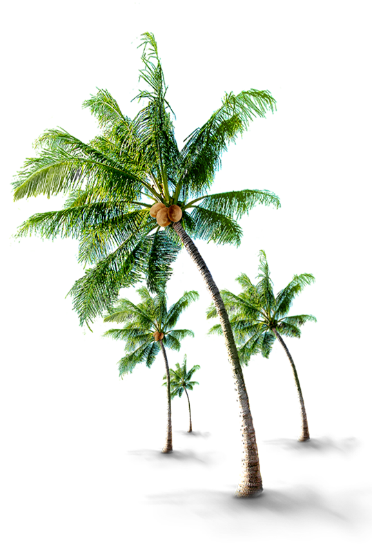 PT. Arkatama Agro Abadi Indonesia