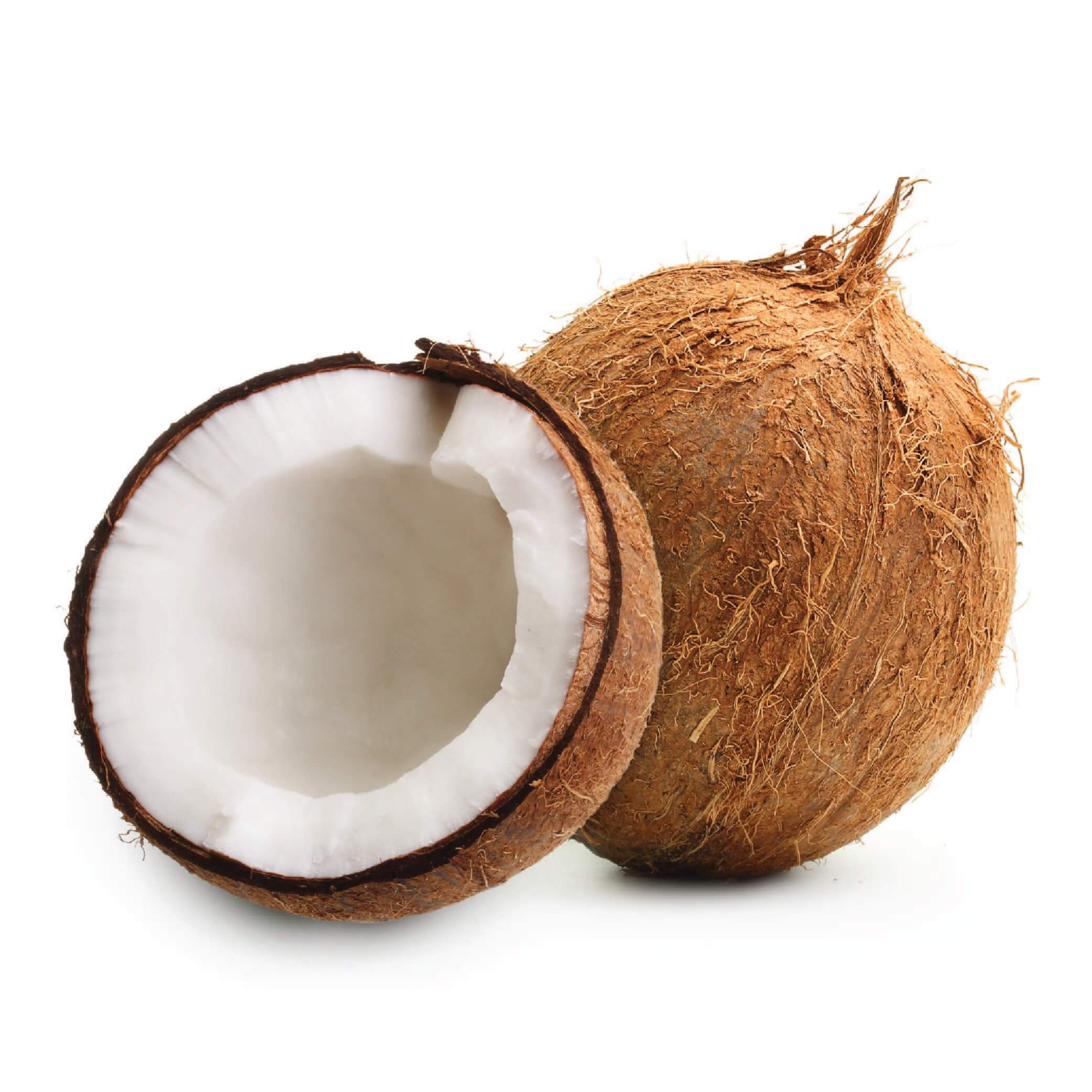 Coconut, size: Super