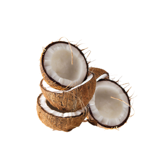Coconut size: 12 - 13 cm